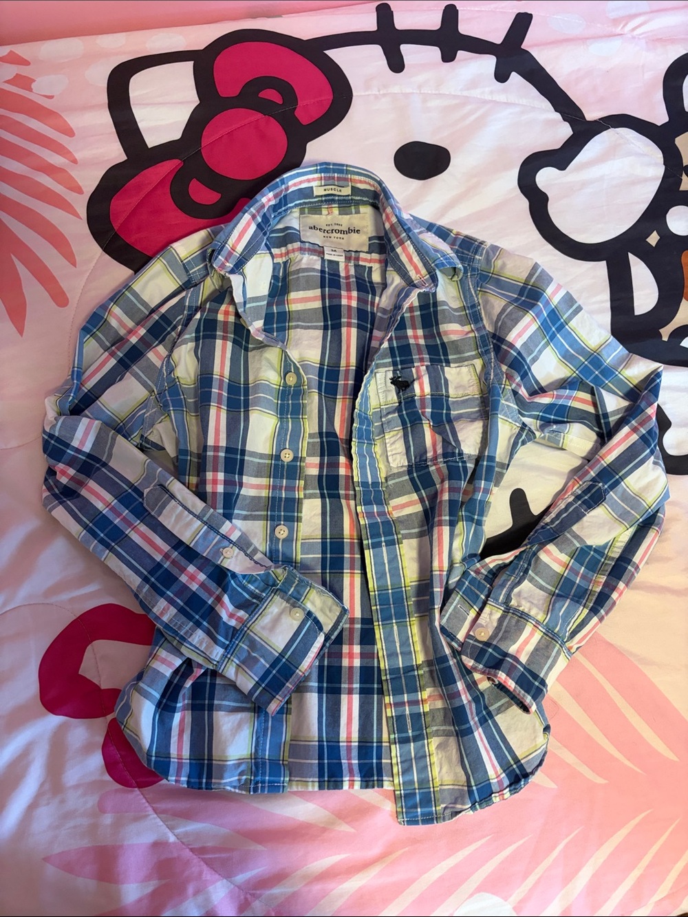 Abercrombie & Fitch Blue, White & Red Plaid Button-Down Shirt